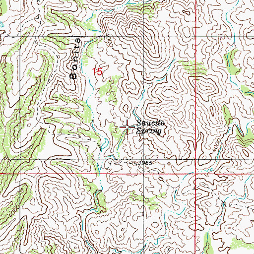 Topographic Map of Saucito Spring, AZ