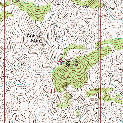 Topographic Map of Saucito Spring, AZ