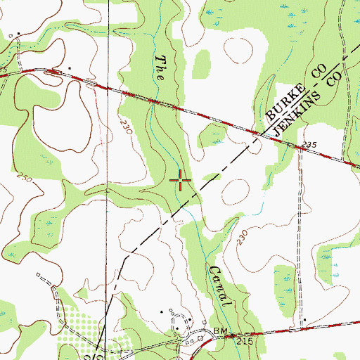 Topographic Map of Miller Lake, GA