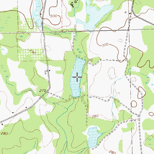 Topographic Map of King Lake, GA