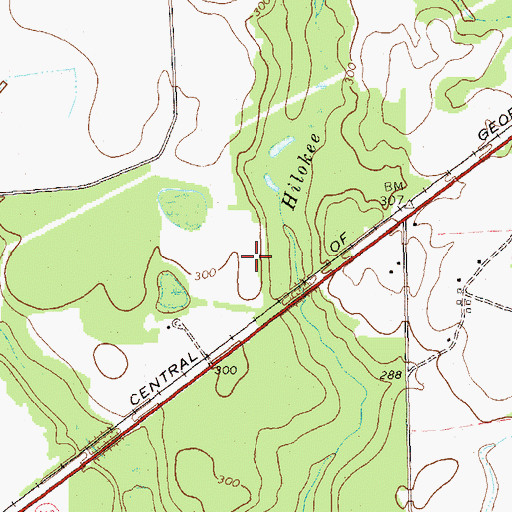 Topographic Map of McCree Lake North Dam, GA