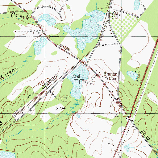 Topographic Map of Ricklighter Pond, GA