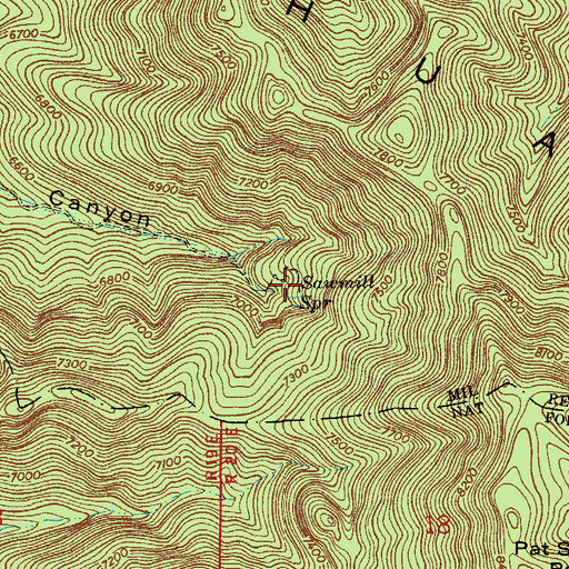 Topographic Map of Sawmill Spring, AZ