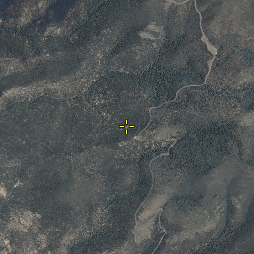 Aerial/Satellite Image of Sawmill Spring, AZ
