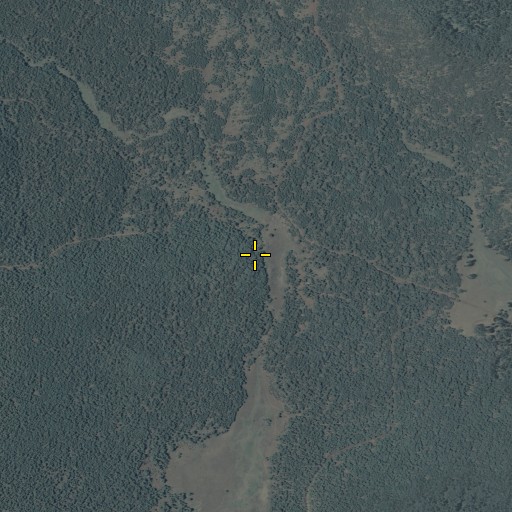 Aerial/Satellite Image of Sawmill Spring, AZ