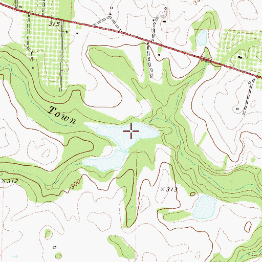 Topographic Map of Nelson Lake, GA