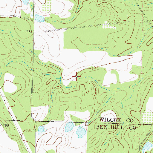 Topographic Map of Reeves Lake Dam, GA