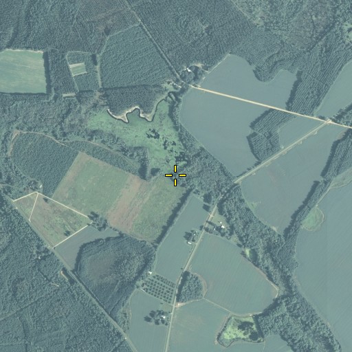 Aerial/Satellite Image of Griners Lake Dam, GA