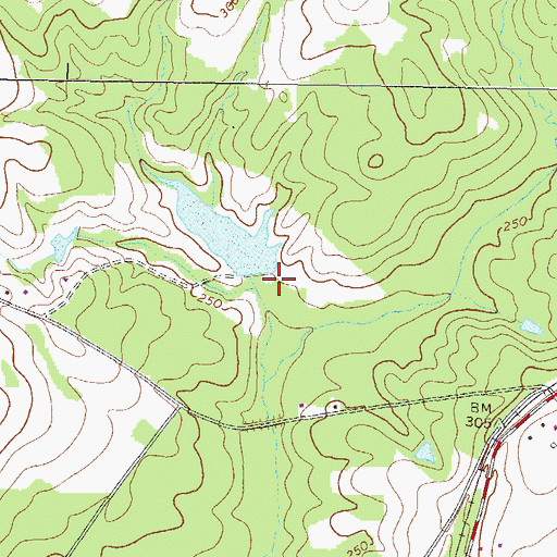 Topographic Map of Brinkley Lake Dam, GA