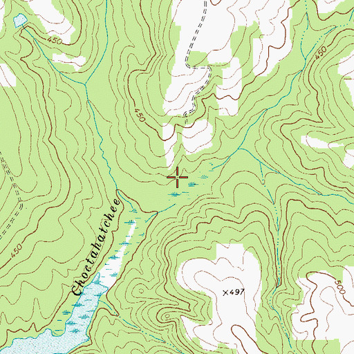 Topographic Map of Hagerson Lake Dam, GA