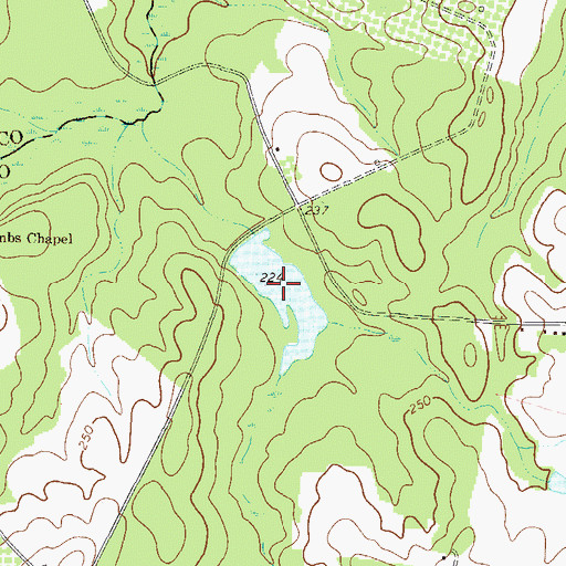 Topographic Map of Beegles Pond, GA