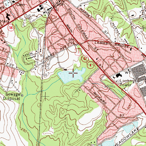 Topographic Map of Youmans Lake, GA