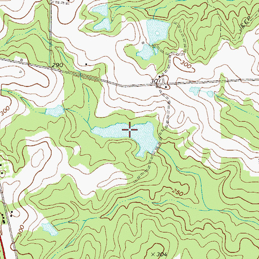 Topographic Map of Roland Lake, GA