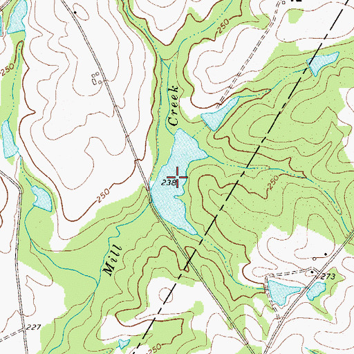 Topographic Map of Whitefield Lake, GA
