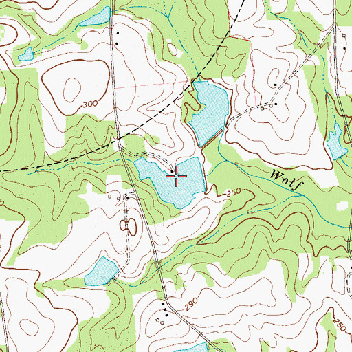 Topographic Map of Brown Lake, GA