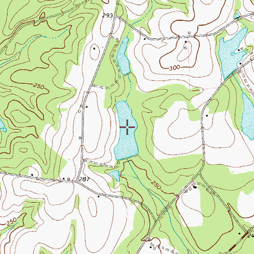 Topographic Map of Coleman Lake, GA