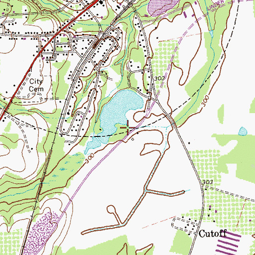 Topographic Map of Chase Lake Dam, GA