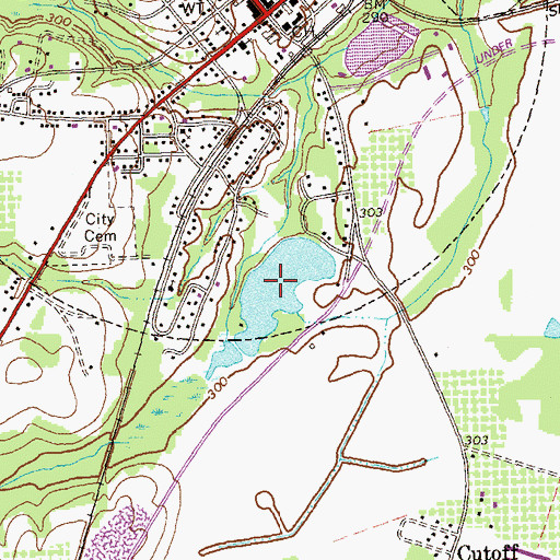 Topographic Map of Chase Lake, GA