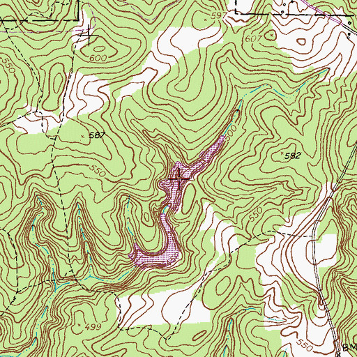 Topographic Map of North Williams Lake, GA