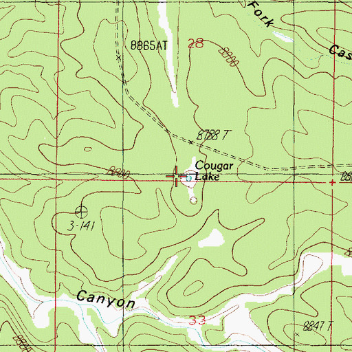 Topographic Map of Cougar Lake, AZ