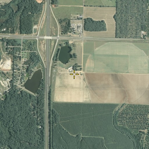 Aerial/Satellite Image of Hodges Pond, GA