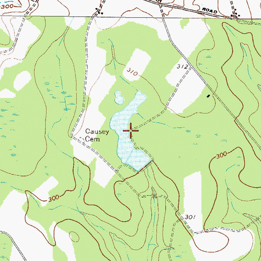 Topographic Map of Union Camp Lake, GA