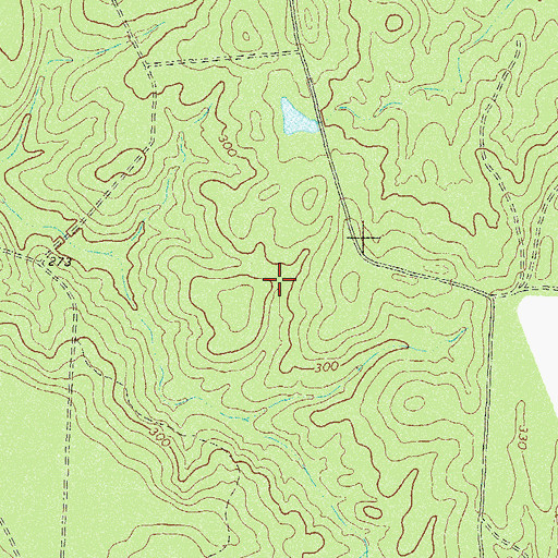Topographic Map of Metz Lake, GA