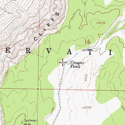 Topographic Map of Cougar Tank, AZ