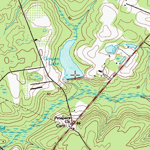 Topographic Map of Gowen Lake Dam, GA