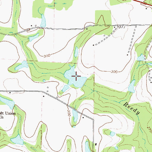 Topographic Map of Lott Lake, GA