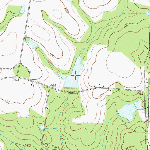 Topographic Map of Kight Lake, GA