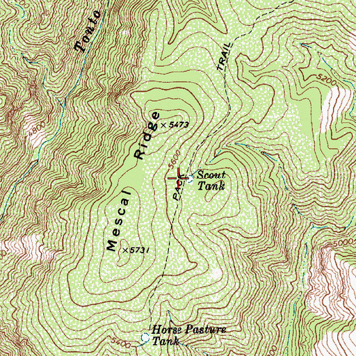 Topographic Map of Scout Tank, AZ
