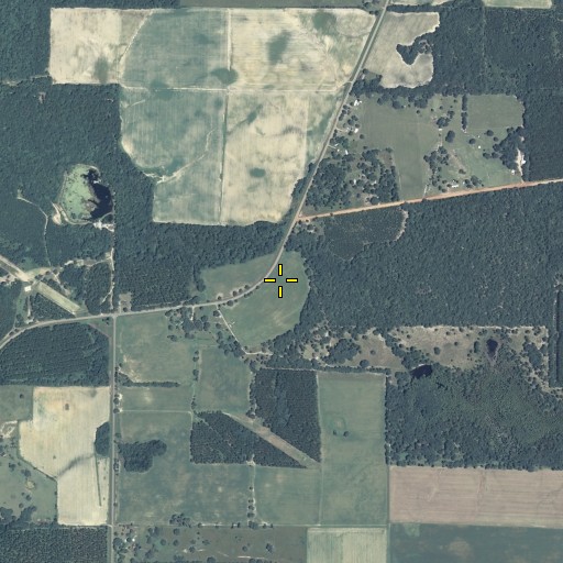 Aerial/Satellite Image of Mims Millpond Dam, GA