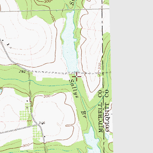 Topographic Map of Connell Lake Dam, GA