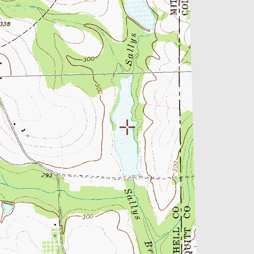 Topographic Map of Connell Lake, GA