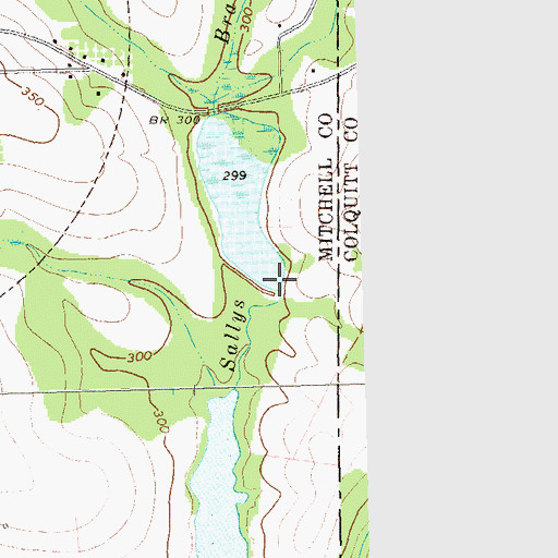 Topographic Map of Pittman Lake Dam, GA