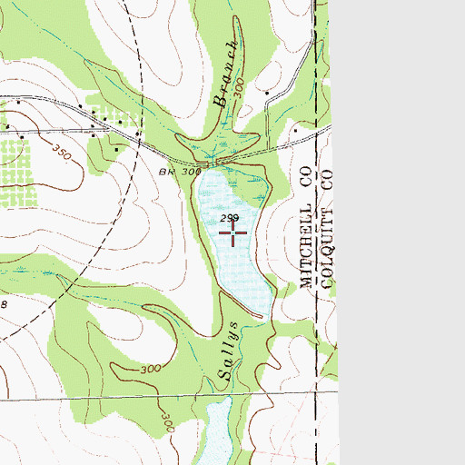 Topographic Map of Pittman Lake, GA