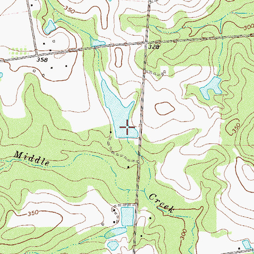 Topographic Map of Allen Lake Dam, GA