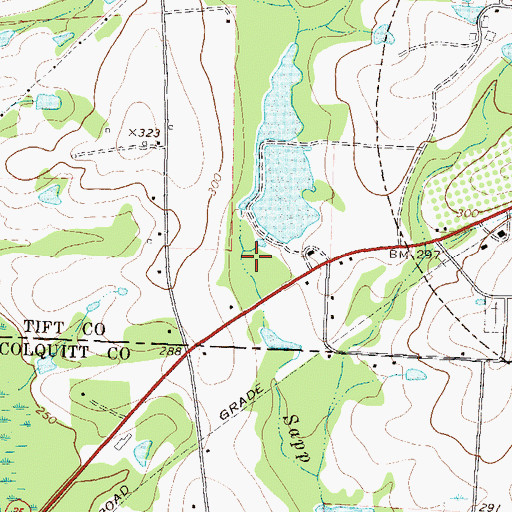 Topographic Map of Patrick Lake, GA