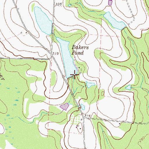 Topographic Map of Bakers Pond Dam, GA