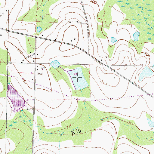 Topographic Map of Marchant Lake, GA