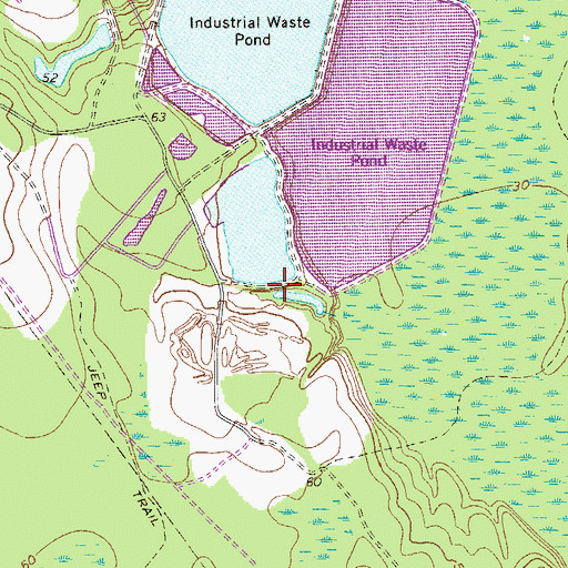 Topographic Map of Rayonier Lake Dam South, GA