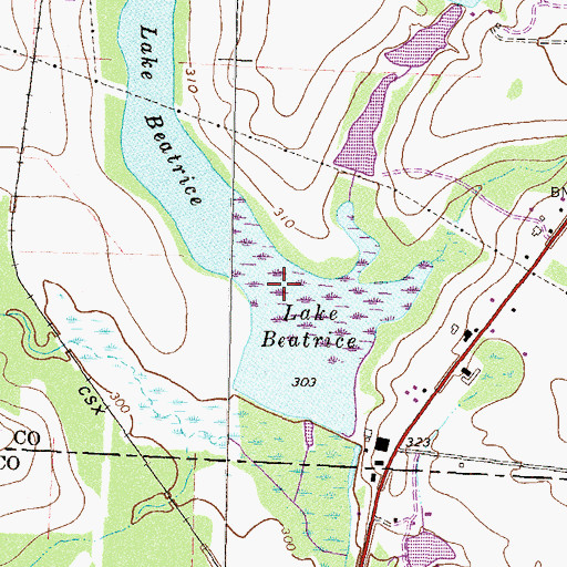 Topographic Map of Lake Beatrice Dam, GA