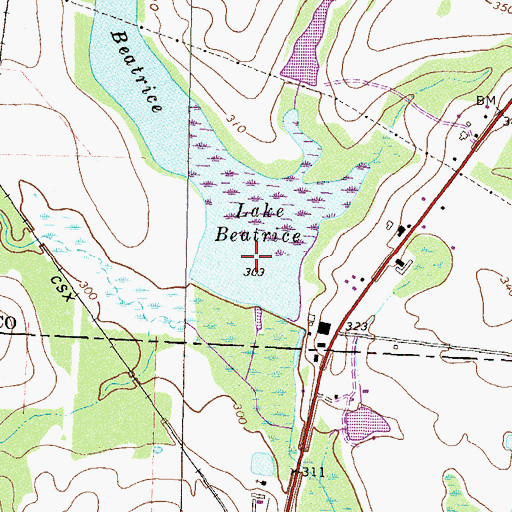 Topographic Map of Lake Beatrice, GA
