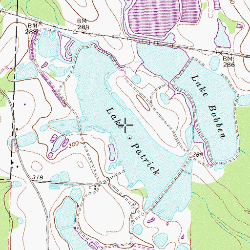 Topographic Map of Lake Patrick, GA