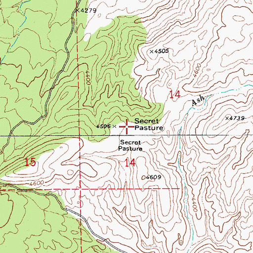 Topographic Map of Secret Pasture, AZ
