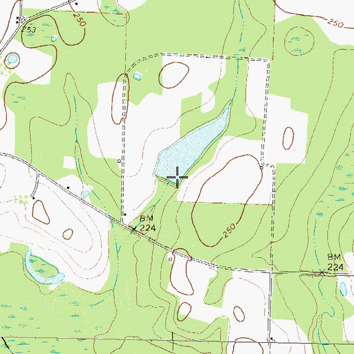 Topographic Map of Gaskins Lake Dam, GA