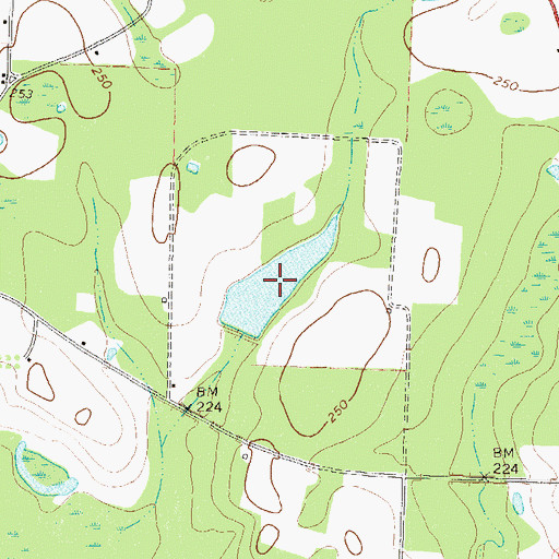 Topographic Map of Gaskins Lake, GA