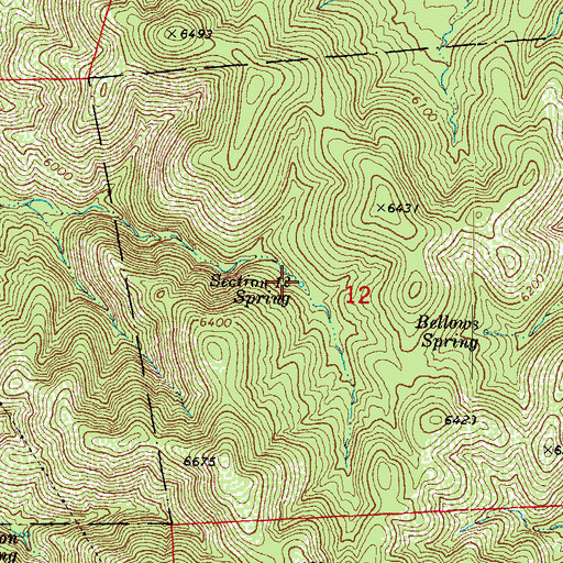 Topographic Map of Section Twelve Spring, AZ