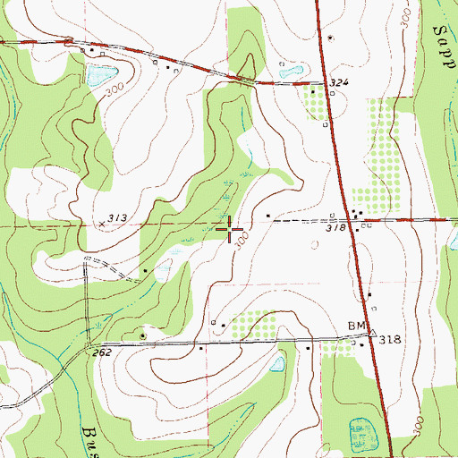 Topographic Map of Bearden Lake, GA